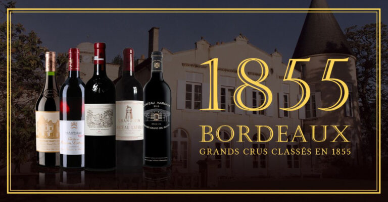 Hệ Thống Phân Loại Rượu Vang Bordeaux 1855 Tại Médoc