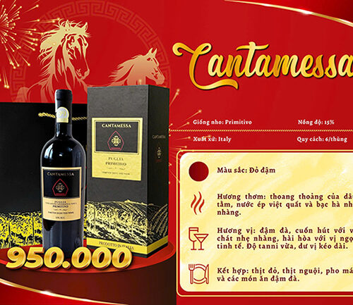 ruou vang y cantamessa 2